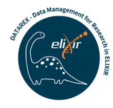 Datarex logo
