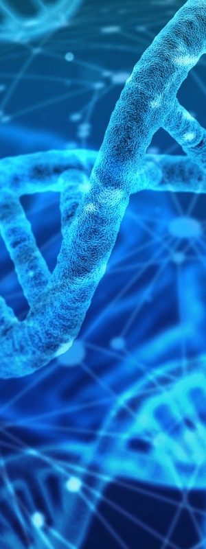 dna-3539309_1920 dna-3539309_1920